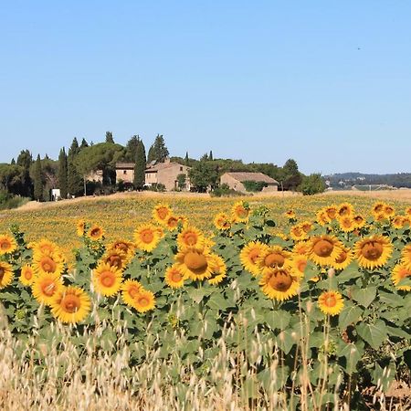 Il Poggio B&B Ginestra Fiorentina ภายนอก รูปภาพ