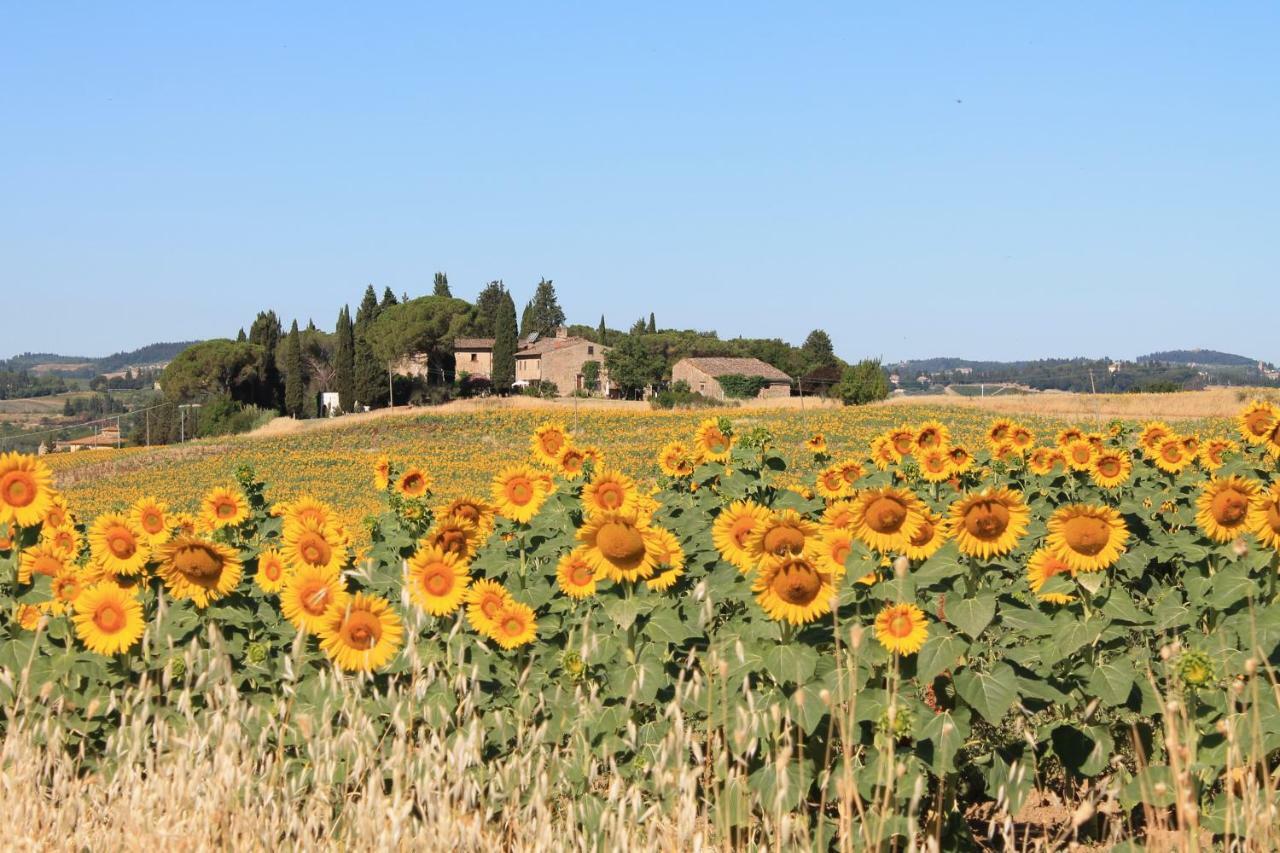 Il Poggio B&B Ginestra Fiorentina ภายนอก รูปภาพ